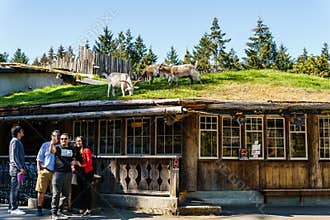 Coombs, CANADA - September 02, 2018: Goats on roof at Old Country Market on Vancouver island