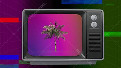 Retro television with palm tree on screen with sizzle