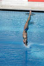 10m Platform Diving at the FINA World Championship