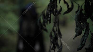 Figure of wicked witch is wearing in black long gown with hood, standing in scary dark forest