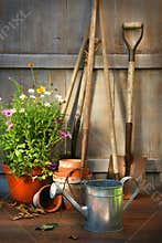 Garden tools and a pot of summer flowers in shed