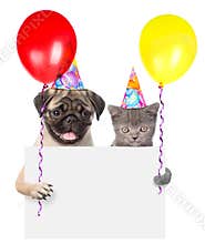 Cat and dog in birthday hats holding balloons peeking from behind empty board