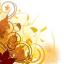 Autumn leaves background
