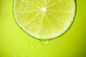 Close-up of a slice of lime, a drop of water falls. The fruit gi