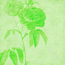 Vintage Florals Botanical Paper Background