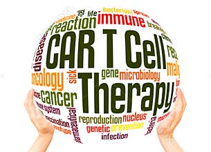 CAR T Cell Therapy word cloud sphere concept