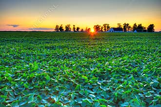 Country sunset