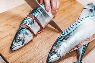 Cook cuts raw mackerel fish
