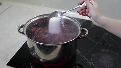 Berries in pot with boiling water. Adding sugar. Cooking compote. Kitchen