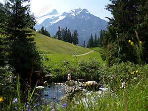 River in front of alps