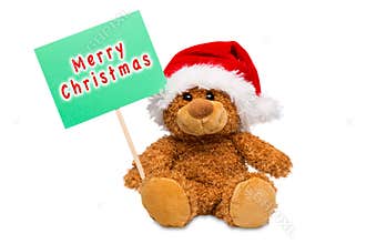 Merry Christmas bear