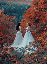 Two beautiful princess