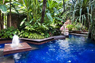 Tropical swimming pool