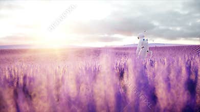 Astronaut with butterflies in lavender field. concept of future. broadcast. Realistic 4k animation.