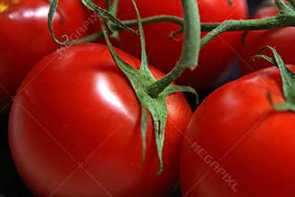 Ripe Red Tomatos