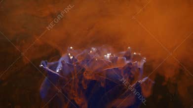 Amazingly wonderful atmospheric shot of a beautiful blue rose mixing with ink in water
