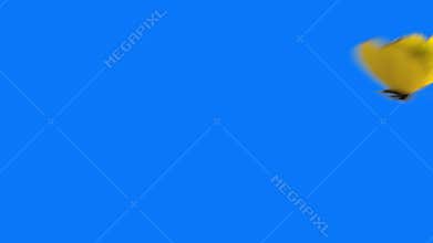 Yellow butterfly flying on a blue background