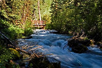 Rushing Mountain Stream