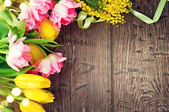 Holiday spring background. Mother`s Day holiday wooden backdrop frame decorated with colorful tulip flowers and mimosa flower