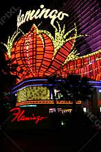 Famous Flamingo Casino - Las Vegas