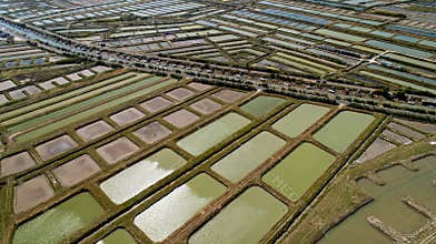 Aerial view of oysters farms in Marennes, Charente Maritime