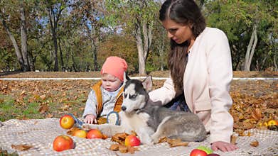 Leisure, family with dog enjoying an autumn day sitting on plaid with fruit on background trees and nature