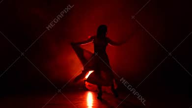 Dancer of Argentine flamenco. Red background. Silhouette. Slow motion