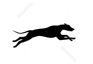 Running dog silhouette in black color