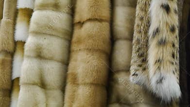 Fur coat in the store