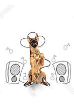 Artwork. One cute breed dog in image of pop singer isolated on white studio background with drawings.