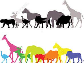 Wild animal silhouette