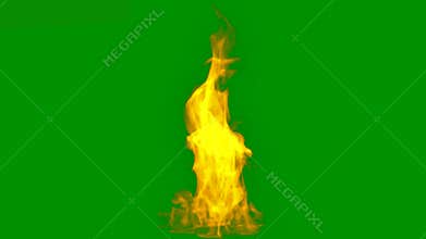 Flames burning with huge fire. Bonfire. Slow motion effect green screen background. Motion graphics, or as a background.