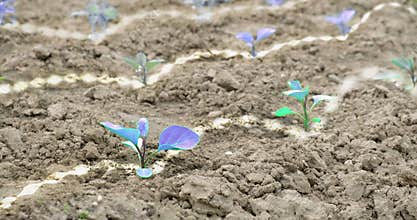 Futuristic agriculture concept with energy strings, blue plants. Terraforming, photosynthesis