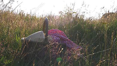 Vintage picnic basket and straw hat in meadow