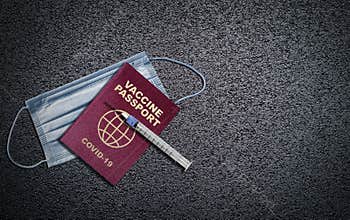 COVID-19 Vaccine Passport With Syringe and Mask With Copy Space