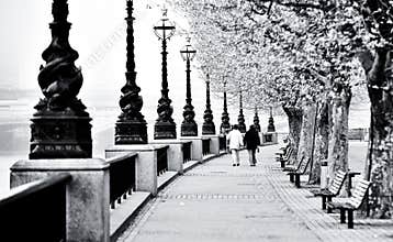 Walk along the Thames in London
