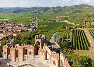 Soave Landscape seen from the Castle