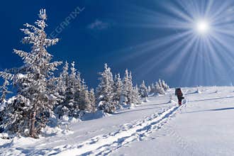 Winter adventure