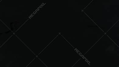 Abstract highlight futuristic psychodelic iridescent background.