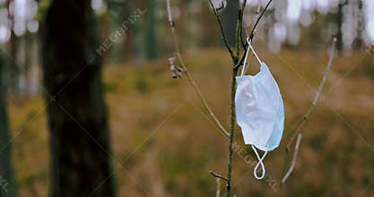 Medical face mask hanging on the tree branch in the forest. environmental pollution