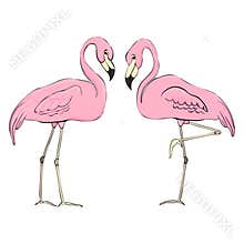 Flamingos in different poses. Set of flat color illustrations. Clipart elements