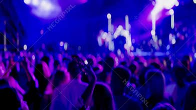 Audience enjoying a live music concert with vibrant lights
