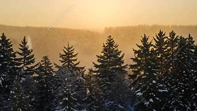 Snow-covered conifer trees glow in the setting sun, creating a tranquil winter scene. The golden light adds warmth to