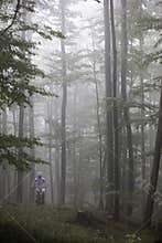 Mountain biking spring