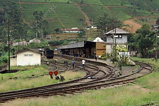 Train station Nanu Oya