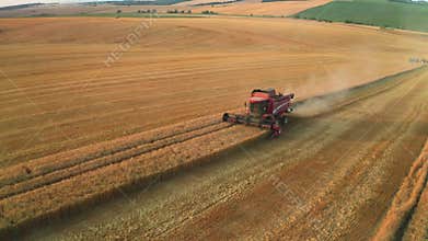 Powerful combine harvesters gather cereals in farm field