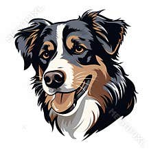 Australian Shepherd Dog Head Vector Illustration By Raymond Swanland