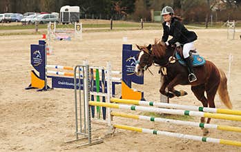 Woman on the horse at jumping competition