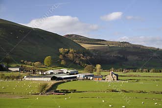 Fron Hill, Radnor Forest