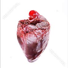 Real heart